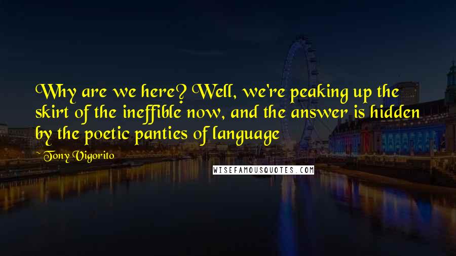 Tony Vigorito Quotes: Why are we here? Well, we're peaking up the skirt of the ineffible now, and the answer is hidden by the poetic panties of language