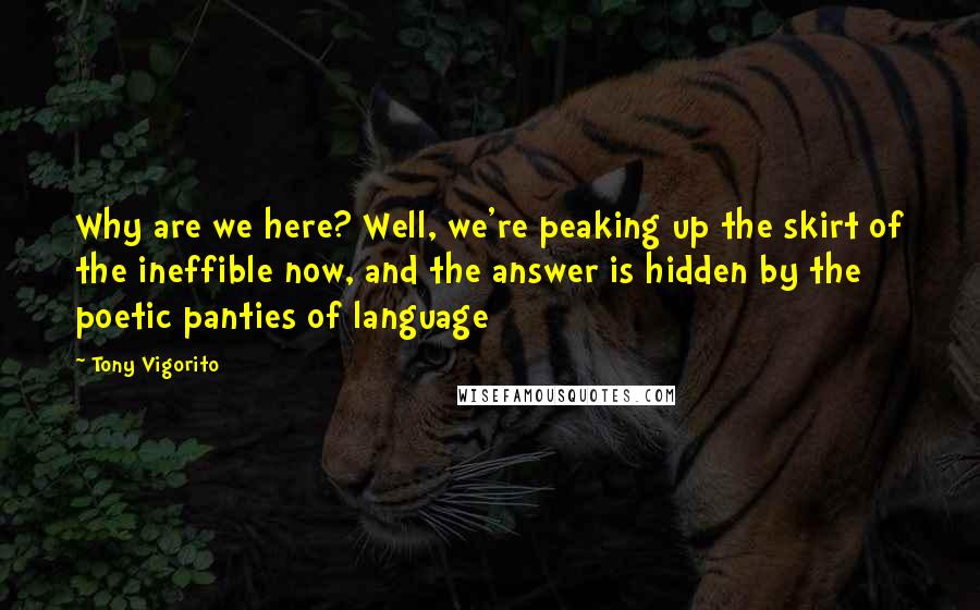 Tony Vigorito Quotes: Why are we here? Well, we're peaking up the skirt of the ineffible now, and the answer is hidden by the poetic panties of language