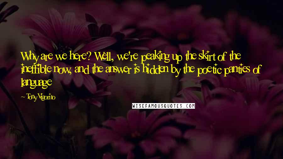 Tony Vigorito Quotes: Why are we here? Well, we're peaking up the skirt of the ineffible now, and the answer is hidden by the poetic panties of language