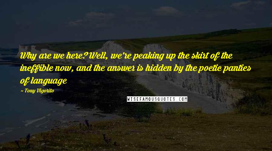 Tony Vigorito Quotes: Why are we here? Well, we're peaking up the skirt of the ineffible now, and the answer is hidden by the poetic panties of language