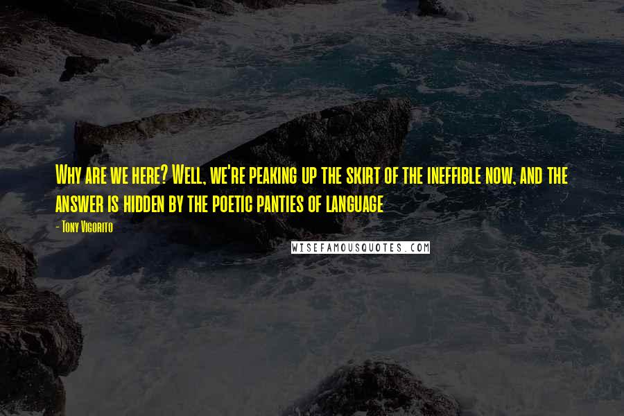 Tony Vigorito Quotes: Why are we here? Well, we're peaking up the skirt of the ineffible now, and the answer is hidden by the poetic panties of language