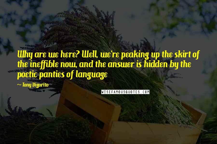 Tony Vigorito Quotes: Why are we here? Well, we're peaking up the skirt of the ineffible now, and the answer is hidden by the poetic panties of language