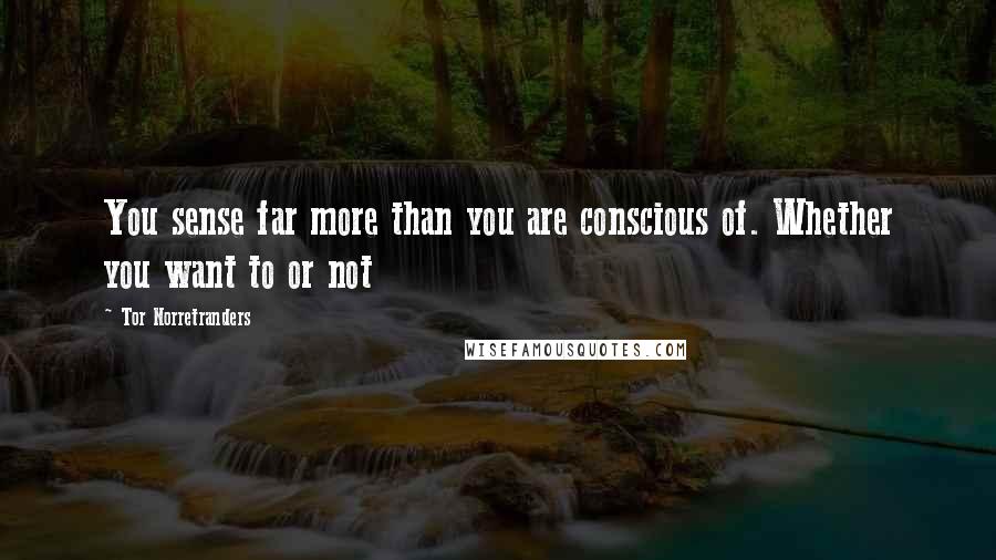 Tor Norretranders Quotes: You sense far more than you are conscious of. Whether you want to or not