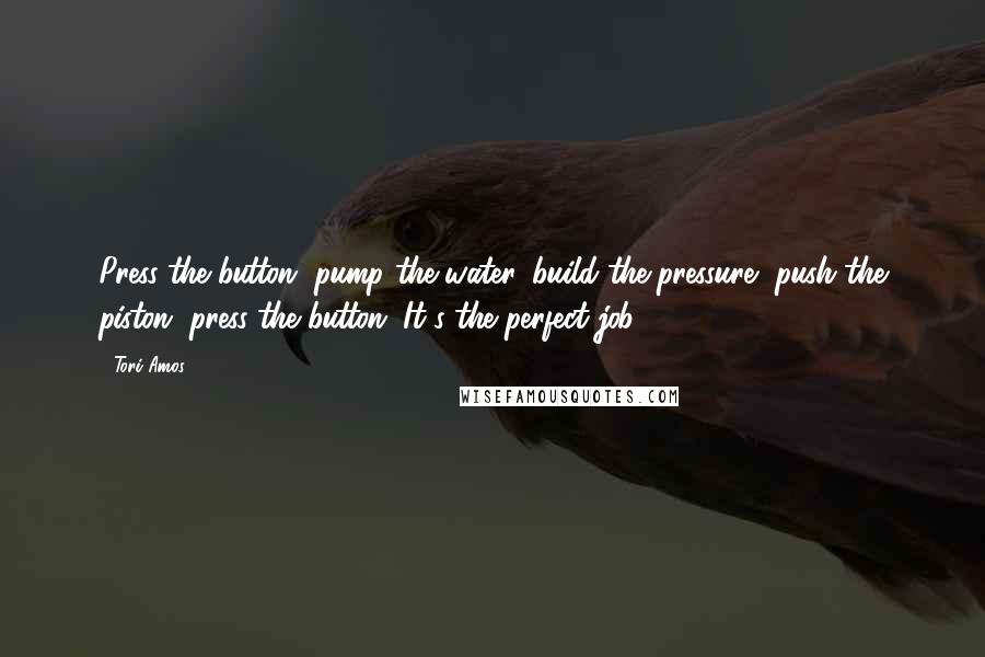 Tori Amos Quotes: Press the button, pump the water, build the pressure, push the piston, press the button. It's the perfect job.