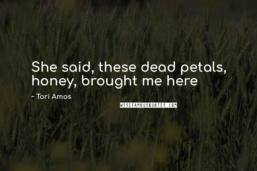 Tori Amos Quotes: She said, these dead petals, honey, brought me here