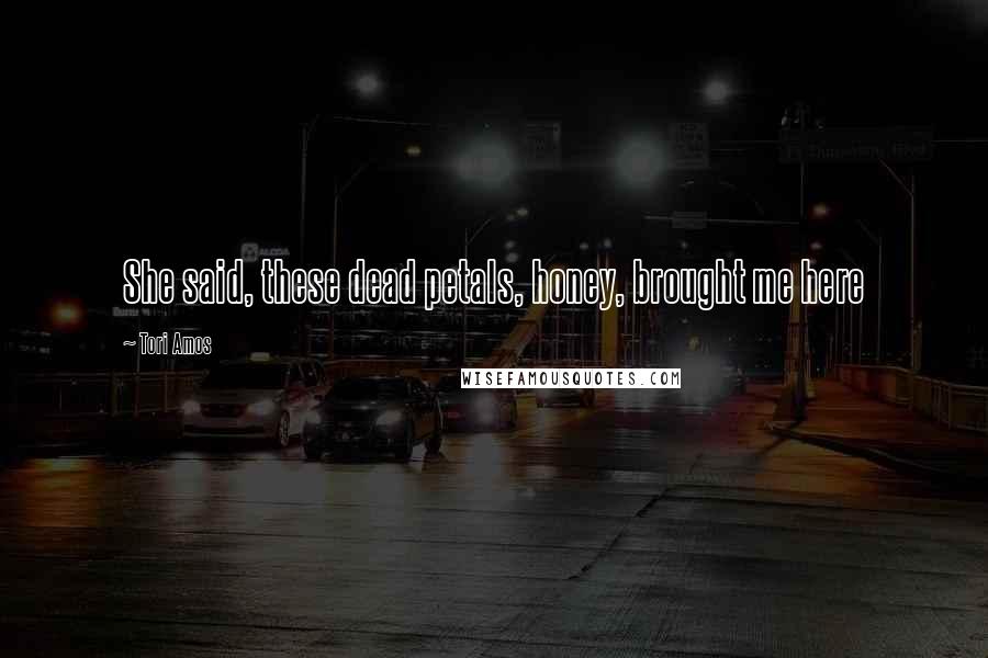 Tori Amos Quotes: She said, these dead petals, honey, brought me here