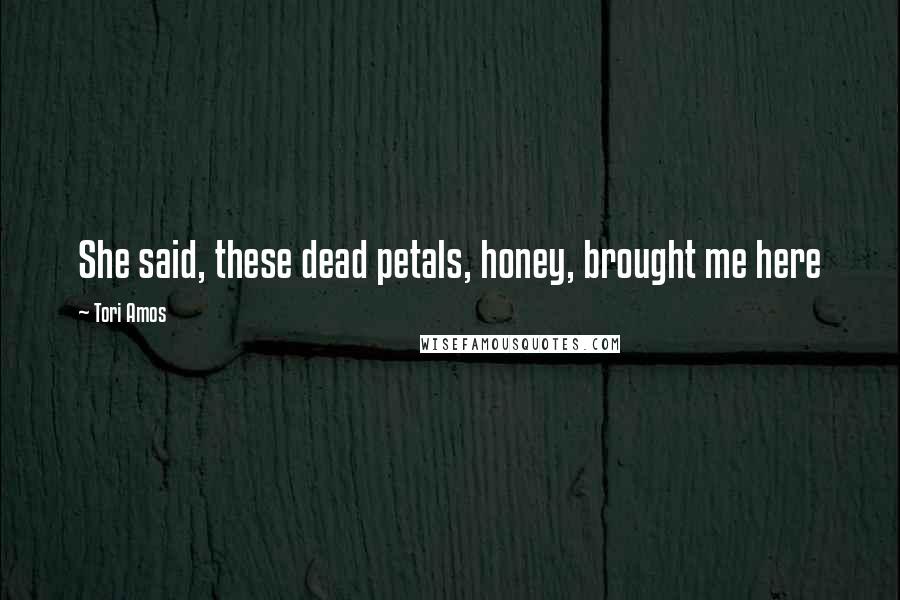 Tori Amos Quotes: She said, these dead petals, honey, brought me here