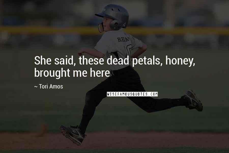 Tori Amos Quotes: She said, these dead petals, honey, brought me here