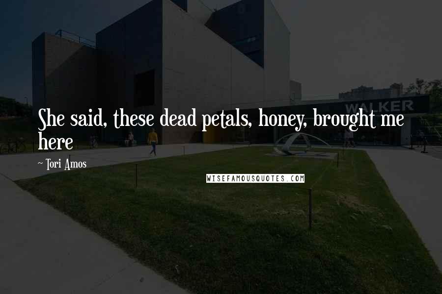 Tori Amos Quotes: She said, these dead petals, honey, brought me here