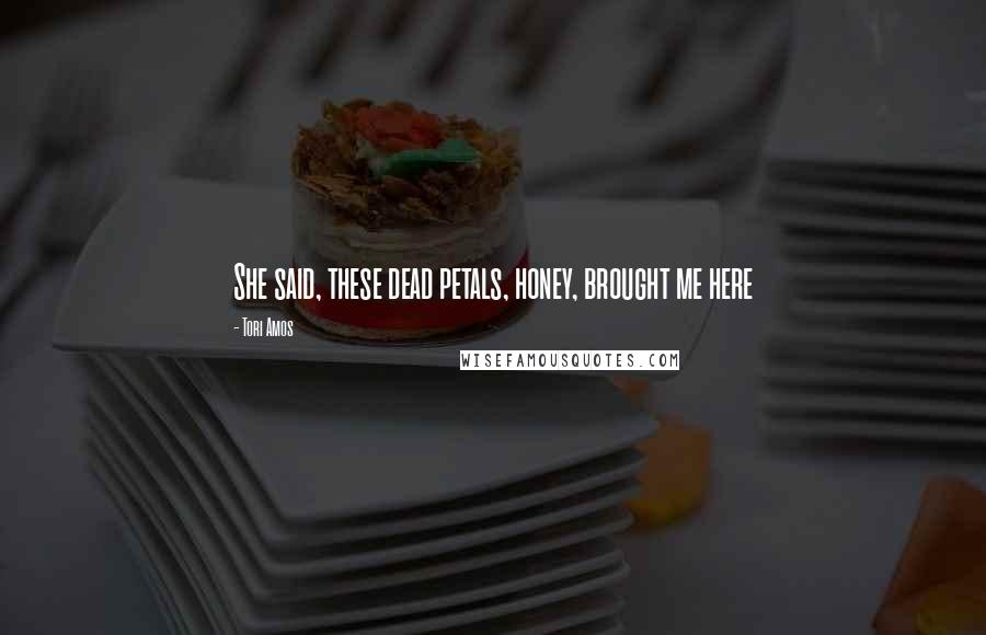 Tori Amos Quotes: She said, these dead petals, honey, brought me here