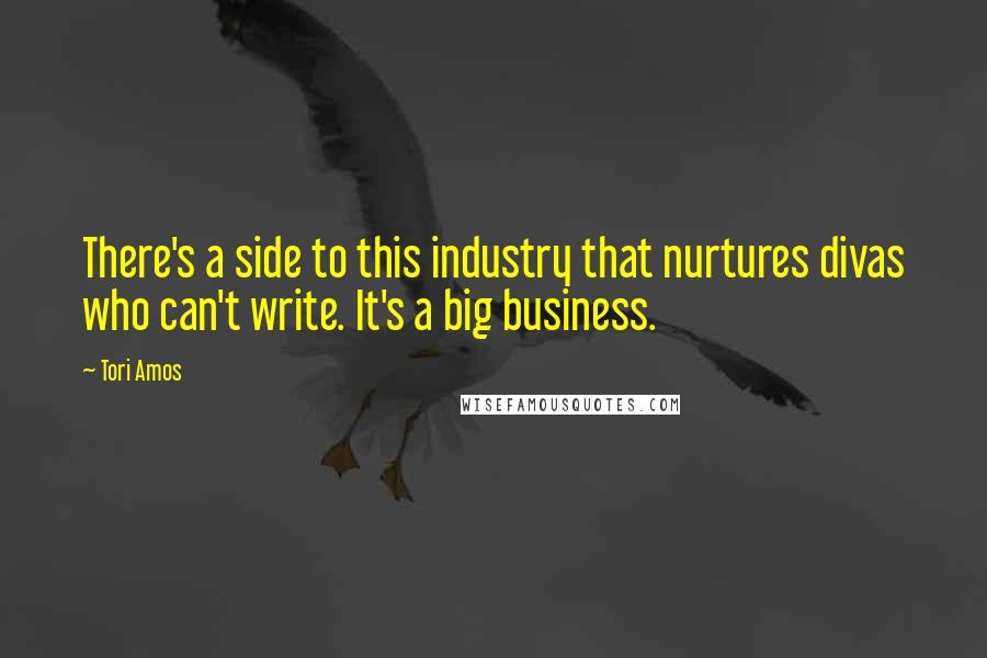 Tori Amos Quotes: There's a side to this industry that nurtures divas who can't write. It's a big business.