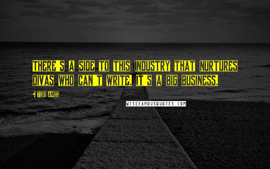 Tori Amos Quotes: There's a side to this industry that nurtures divas who can't write. It's a big business.