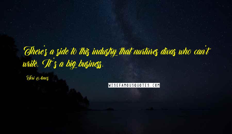 Tori Amos Quotes: There's a side to this industry that nurtures divas who can't write. It's a big business.