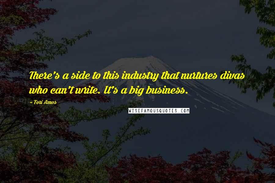 Tori Amos Quotes: There's a side to this industry that nurtures divas who can't write. It's a big business.