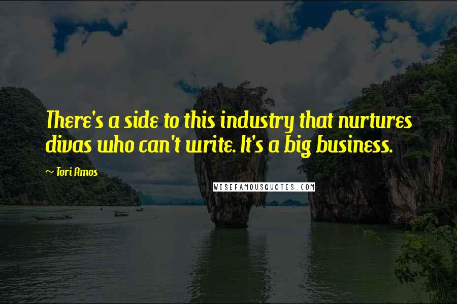 Tori Amos Quotes: There's a side to this industry that nurtures divas who can't write. It's a big business.