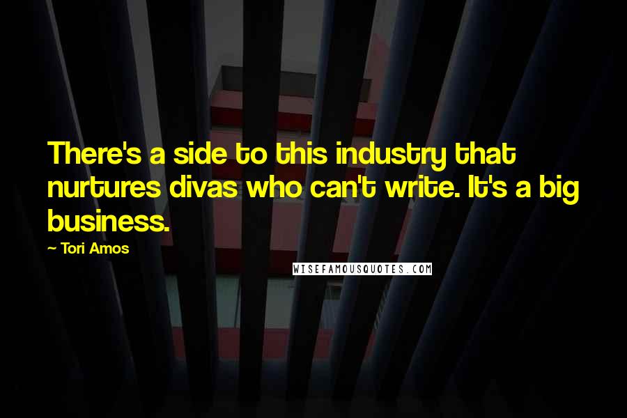 Tori Amos Quotes: There's a side to this industry that nurtures divas who can't write. It's a big business.