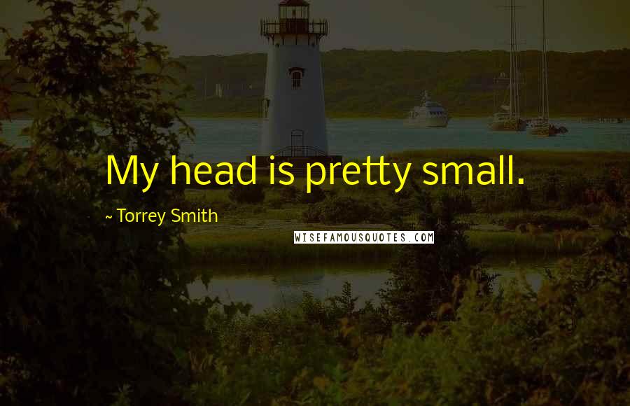 Torrey Smith Quotes: My head is pretty small.