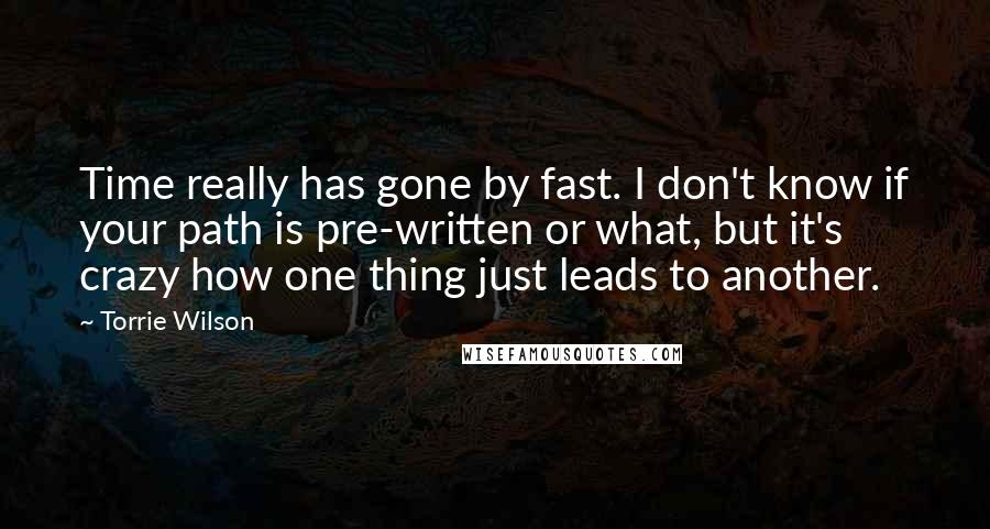 Torrie Wilson Quotes: Time really has gone by fast. I don't know if your path is pre-written or what, but it's crazy how one thing just leads to another.