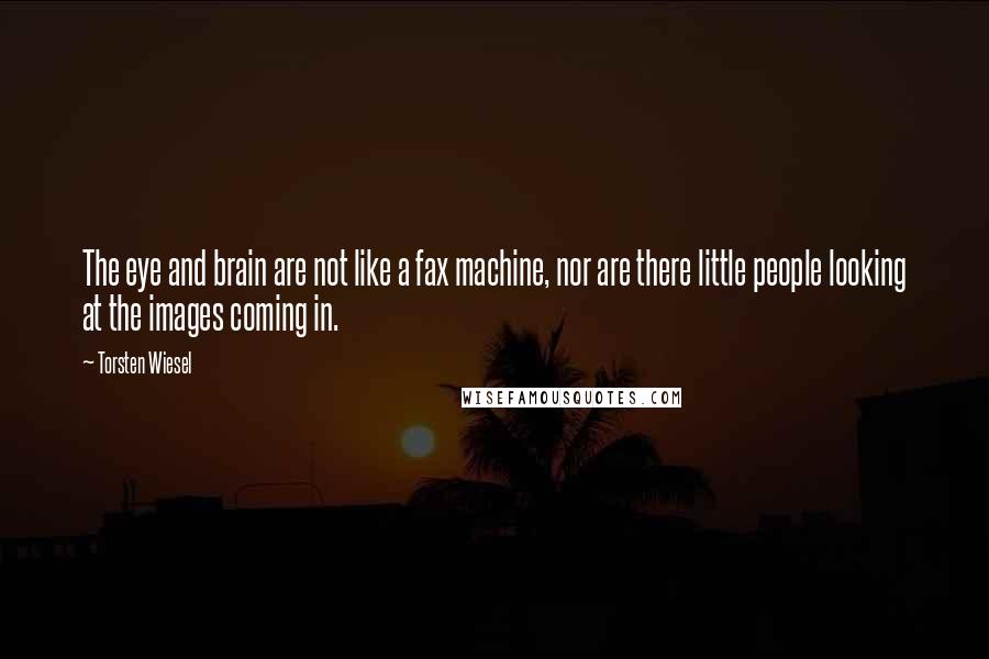 Torsten Wiesel Quotes: The eye and brain are not like a fax machine, nor are there little people looking at the images coming in.