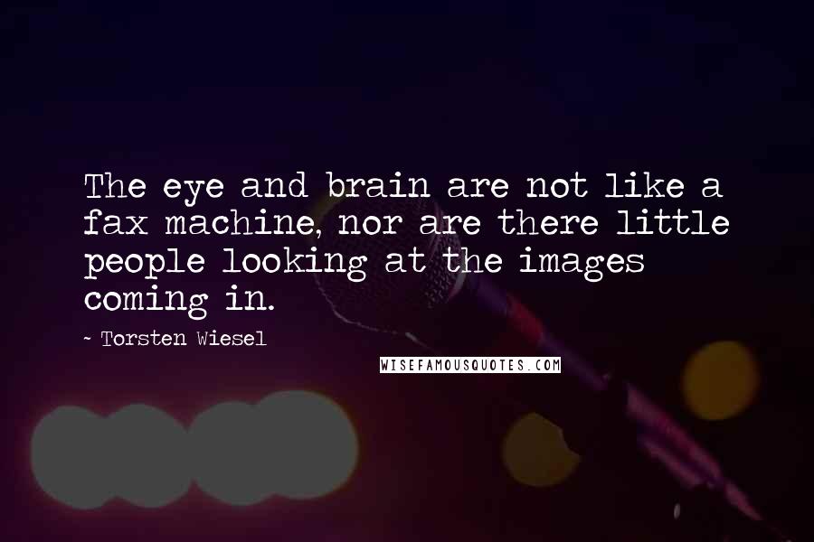 Torsten Wiesel Quotes: The eye and brain are not like a fax machine, nor are there little people looking at the images coming in.