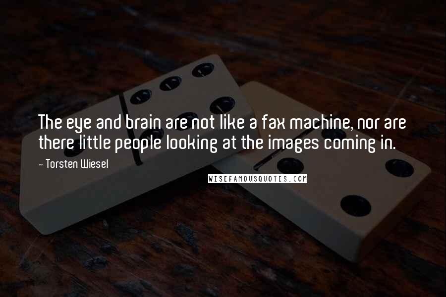 Torsten Wiesel Quotes: The eye and brain are not like a fax machine, nor are there little people looking at the images coming in.