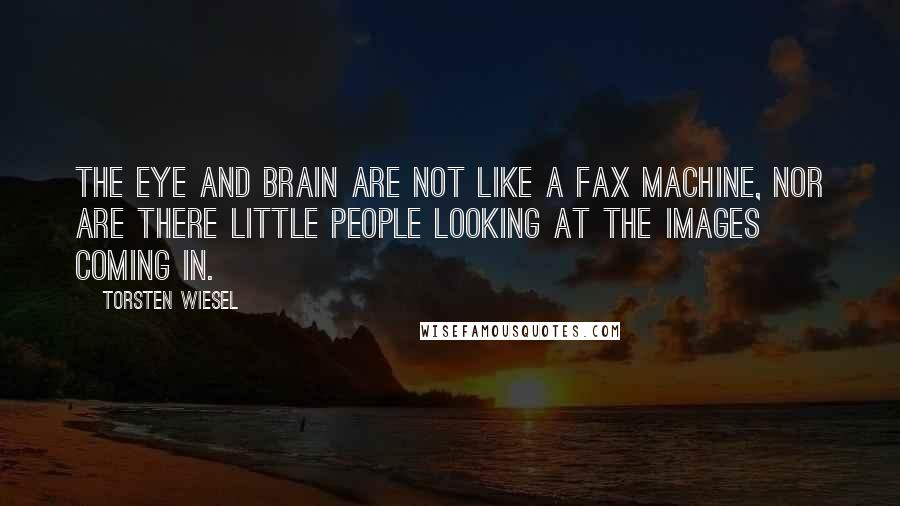 Torsten Wiesel Quotes: The eye and brain are not like a fax machine, nor are there little people looking at the images coming in.