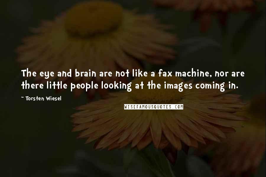 Torsten Wiesel Quotes: The eye and brain are not like a fax machine, nor are there little people looking at the images coming in.