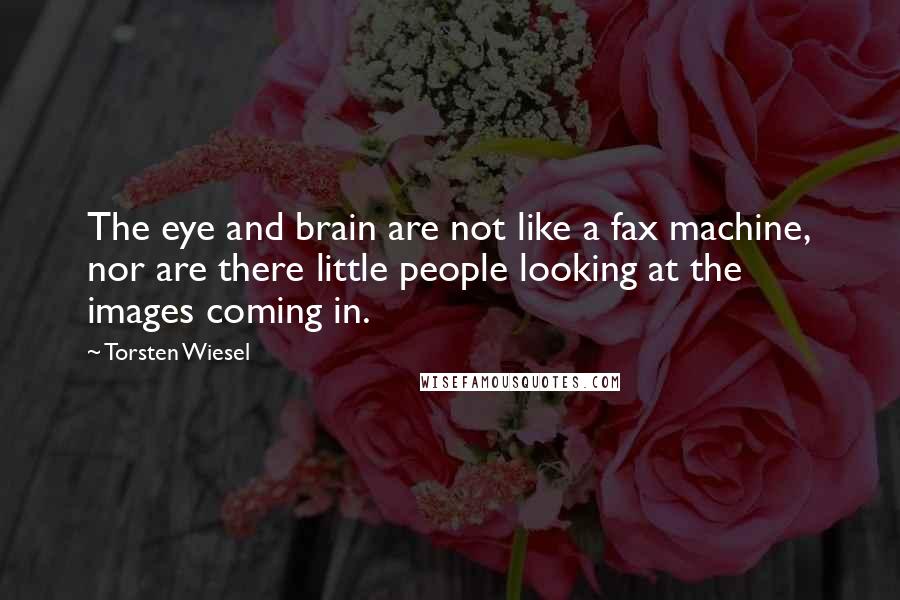 Torsten Wiesel Quotes: The eye and brain are not like a fax machine, nor are there little people looking at the images coming in.