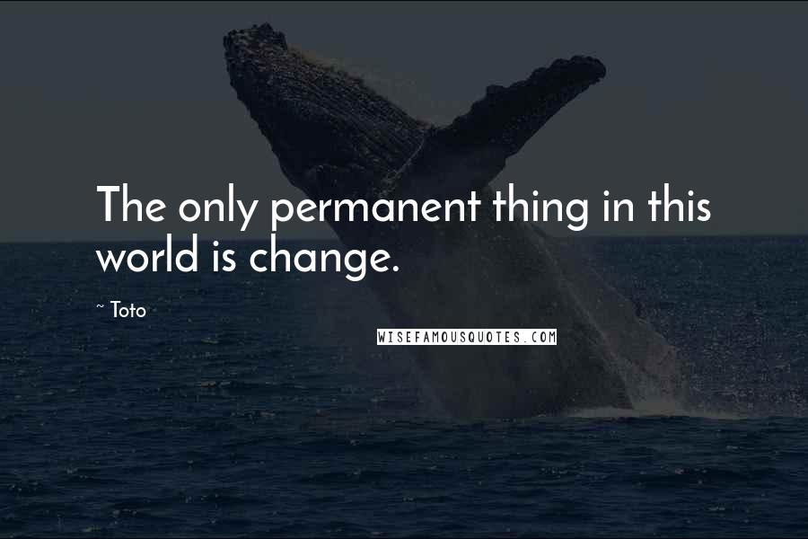 Toto Quotes: The only permanent thing in this world is change.