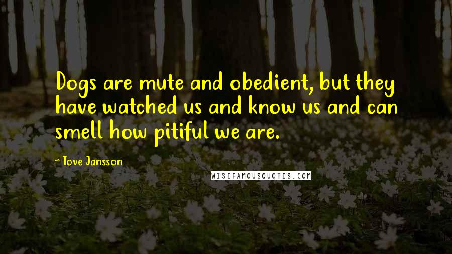 Tove Jansson Quotes: Dogs are mute and obedient, but they have watched us and know us and can smell how pitiful we are.