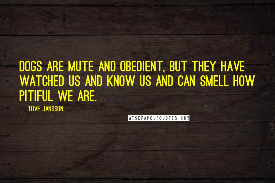 Tove Jansson Quotes: Dogs are mute and obedient, but they have watched us and know us and can smell how pitiful we are.