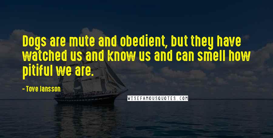 Tove Jansson Quotes: Dogs are mute and obedient, but they have watched us and know us and can smell how pitiful we are.