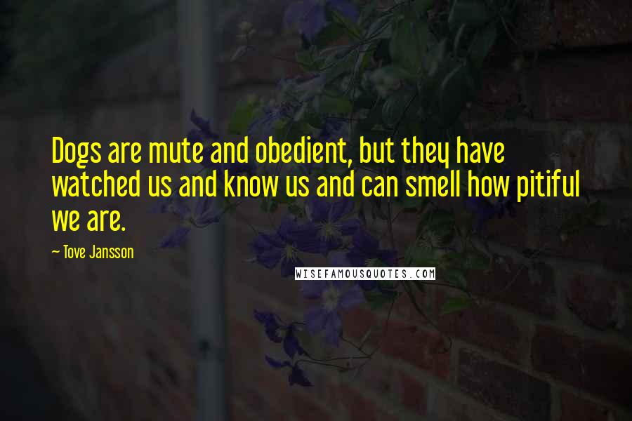 Tove Jansson Quotes: Dogs are mute and obedient, but they have watched us and know us and can smell how pitiful we are.