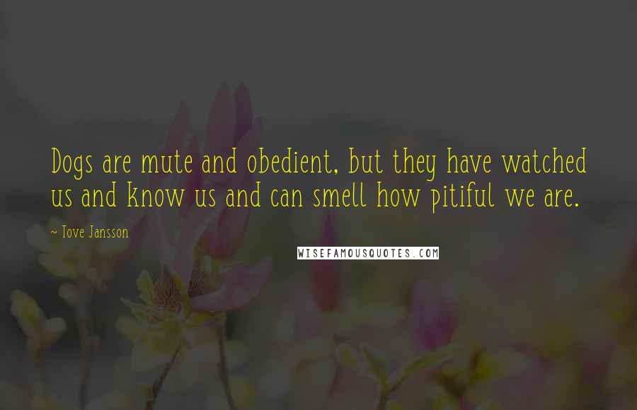 Tove Jansson Quotes: Dogs are mute and obedient, but they have watched us and know us and can smell how pitiful we are.