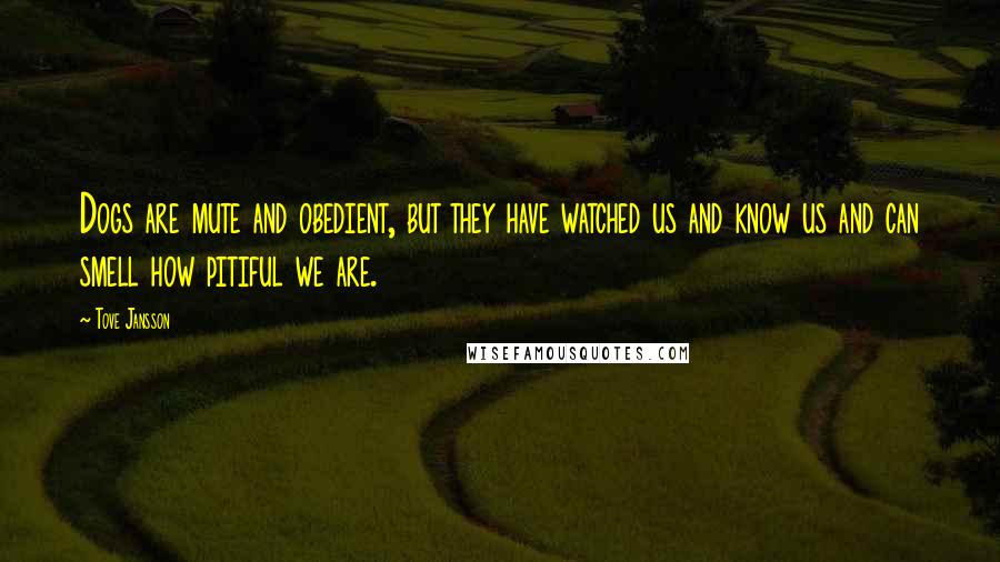 Tove Jansson Quotes: Dogs are mute and obedient, but they have watched us and know us and can smell how pitiful we are.