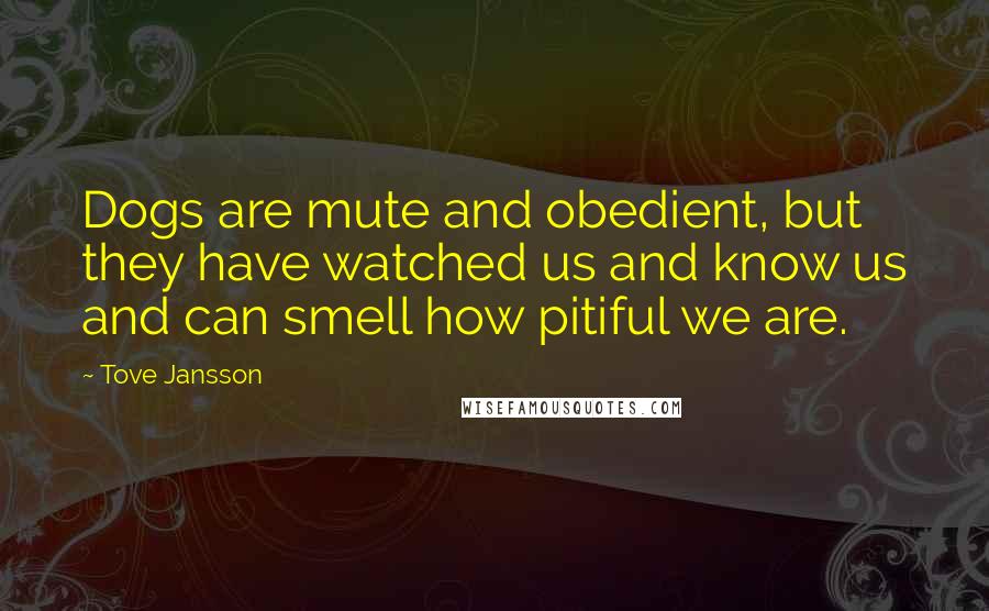 Tove Jansson Quotes: Dogs are mute and obedient, but they have watched us and know us and can smell how pitiful we are.