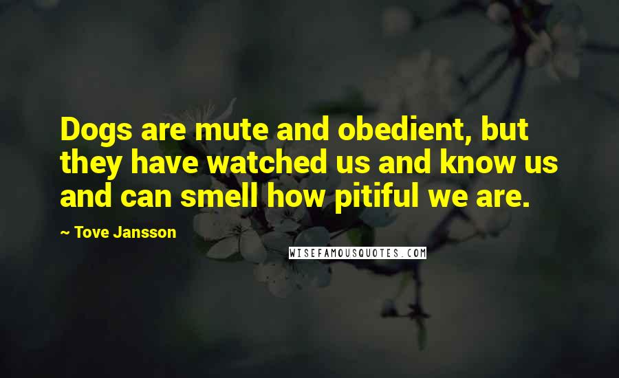 Tove Jansson Quotes: Dogs are mute and obedient, but they have watched us and know us and can smell how pitiful we are.