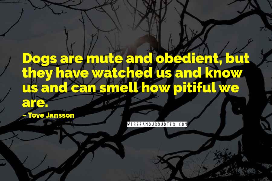 Tove Jansson Quotes: Dogs are mute and obedient, but they have watched us and know us and can smell how pitiful we are.