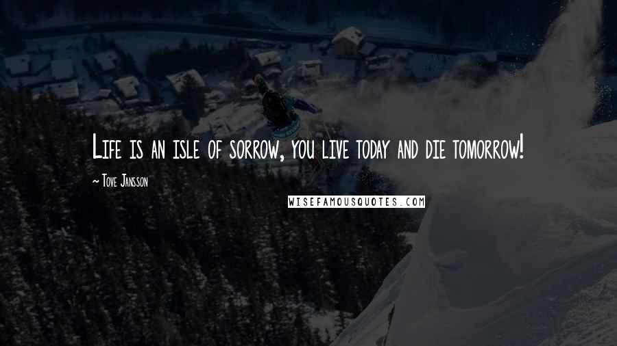 Tove Jansson Quotes: Life is an isle of sorrow, you live today and die tomorrow!