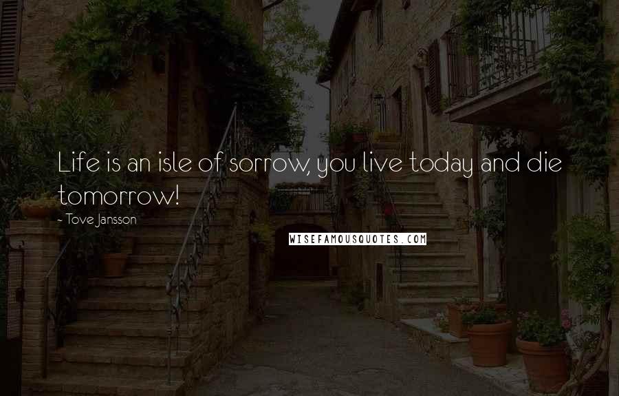 Tove Jansson Quotes: Life is an isle of sorrow, you live today and die tomorrow!