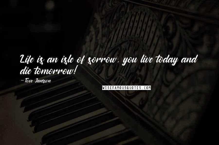 Tove Jansson Quotes: Life is an isle of sorrow, you live today and die tomorrow!