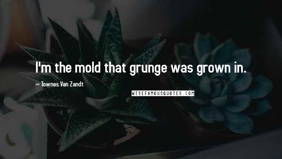 Townes Van Zandt Quotes: I'm the mold that grunge was grown in.