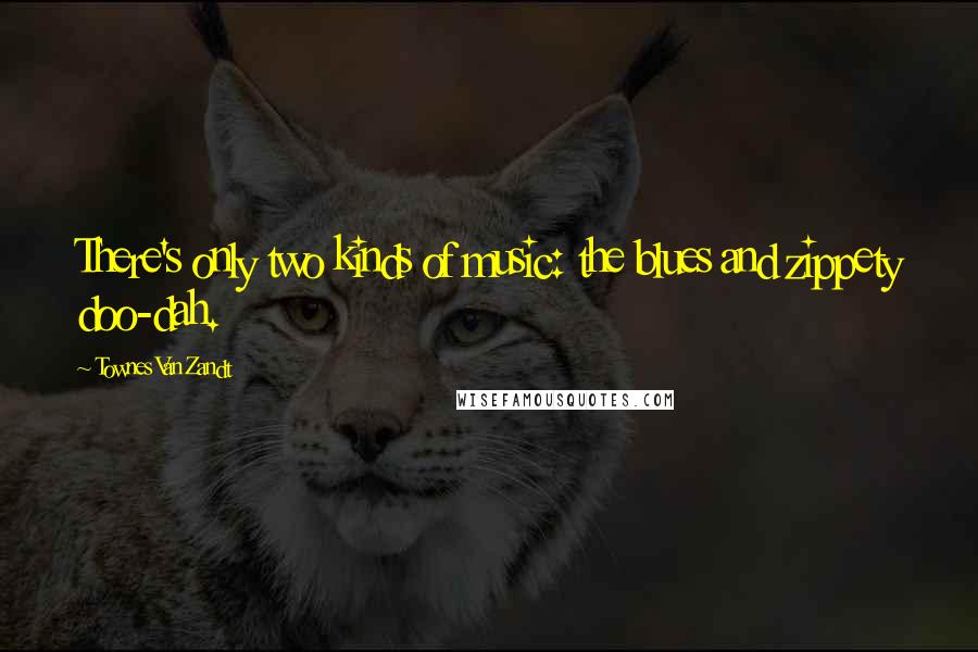 Townes Van Zandt Quotes: There's only two kinds of music: the blues and zippety doo-dah.