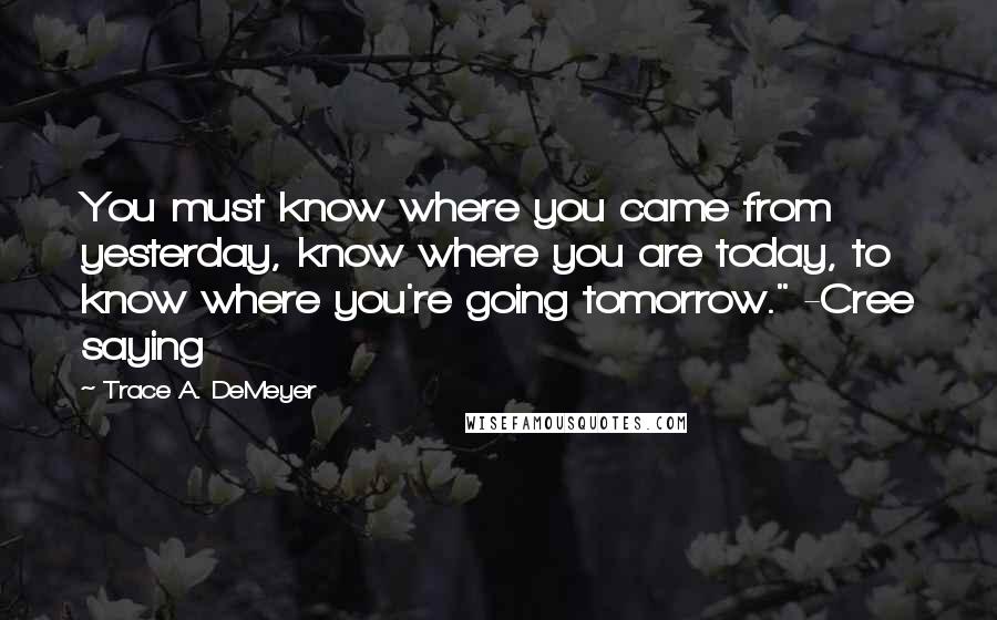 Trace A. DeMeyer Quotes: You must know where you came from yesterday, know where you are today, to know where you're going tomorrow." -Cree saying