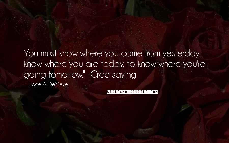 Trace A. DeMeyer Quotes: You must know where you came from yesterday, know where you are today, to know where you're going tomorrow." -Cree saying