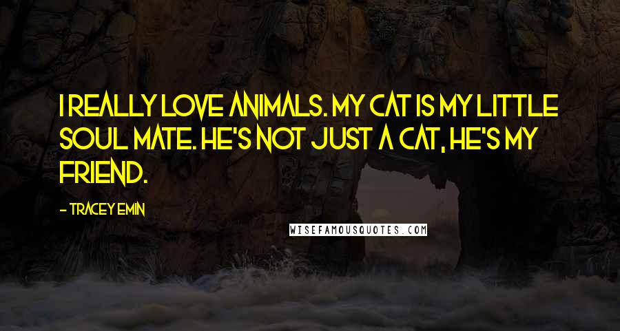 Tracey Emin Quotes: I really love animals. My cat is my little soul mate. He's not just a cat, he's my friend.