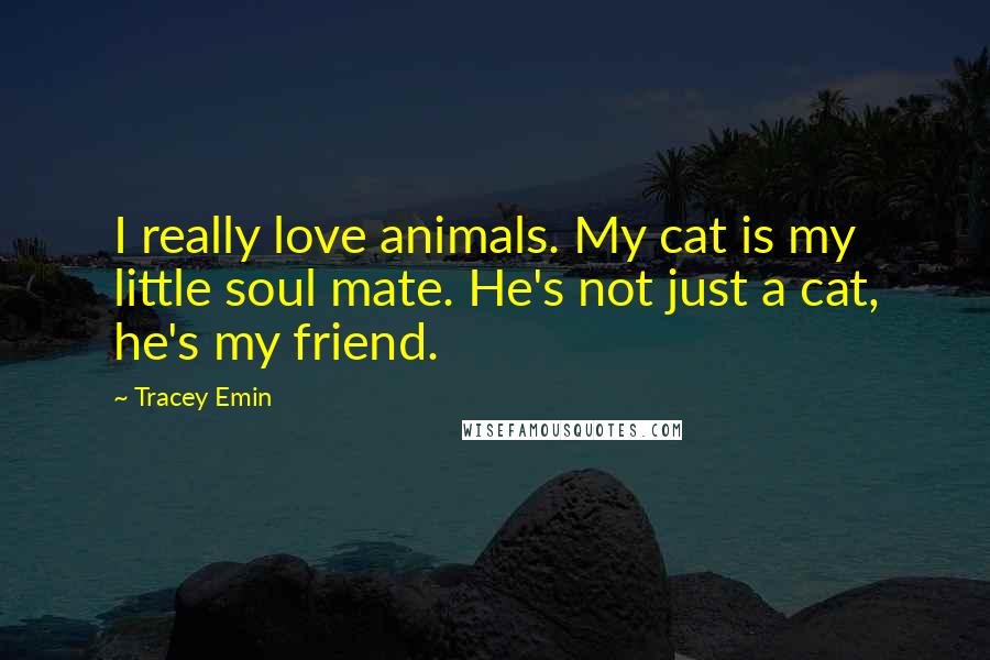 Tracey Emin Quotes: I really love animals. My cat is my little soul mate. He's not just a cat, he's my friend.