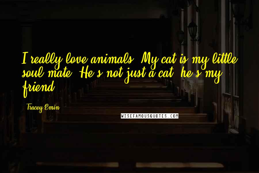 Tracey Emin Quotes: I really love animals. My cat is my little soul mate. He's not just a cat, he's my friend.