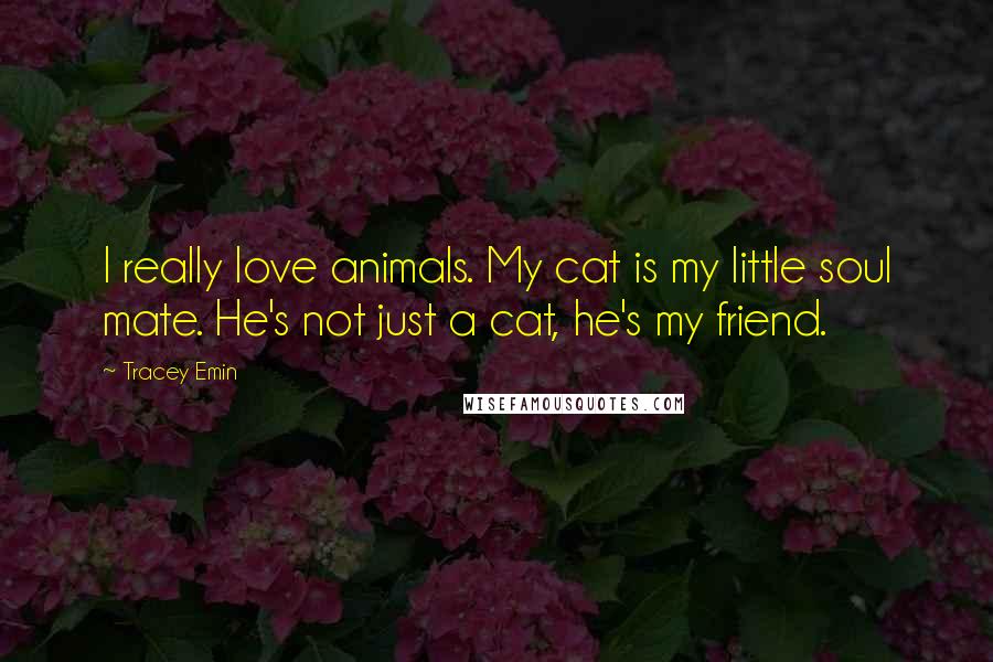 Tracey Emin Quotes: I really love animals. My cat is my little soul mate. He's not just a cat, he's my friend.