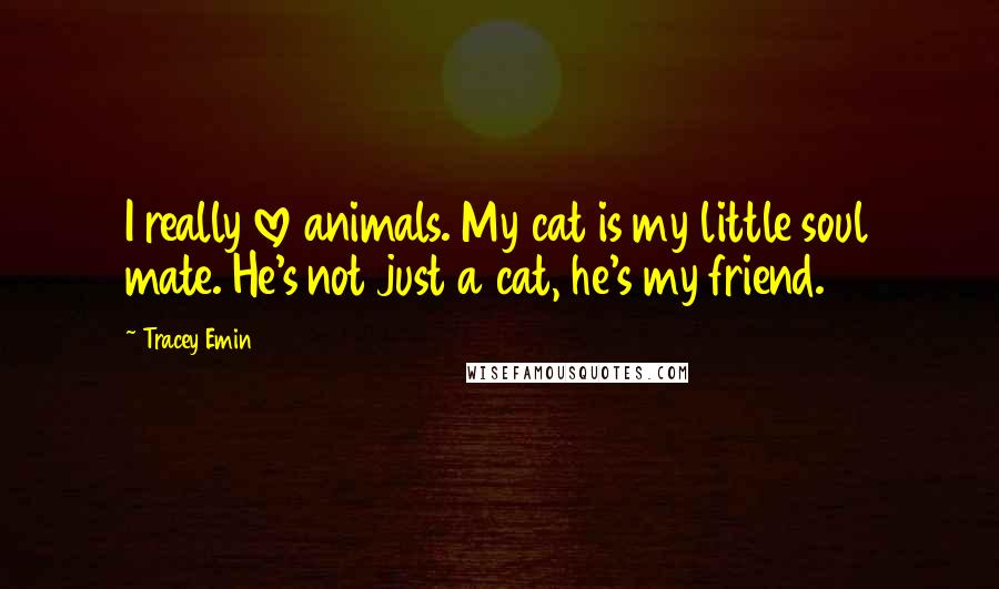 Tracey Emin Quotes: I really love animals. My cat is my little soul mate. He's not just a cat, he's my friend.